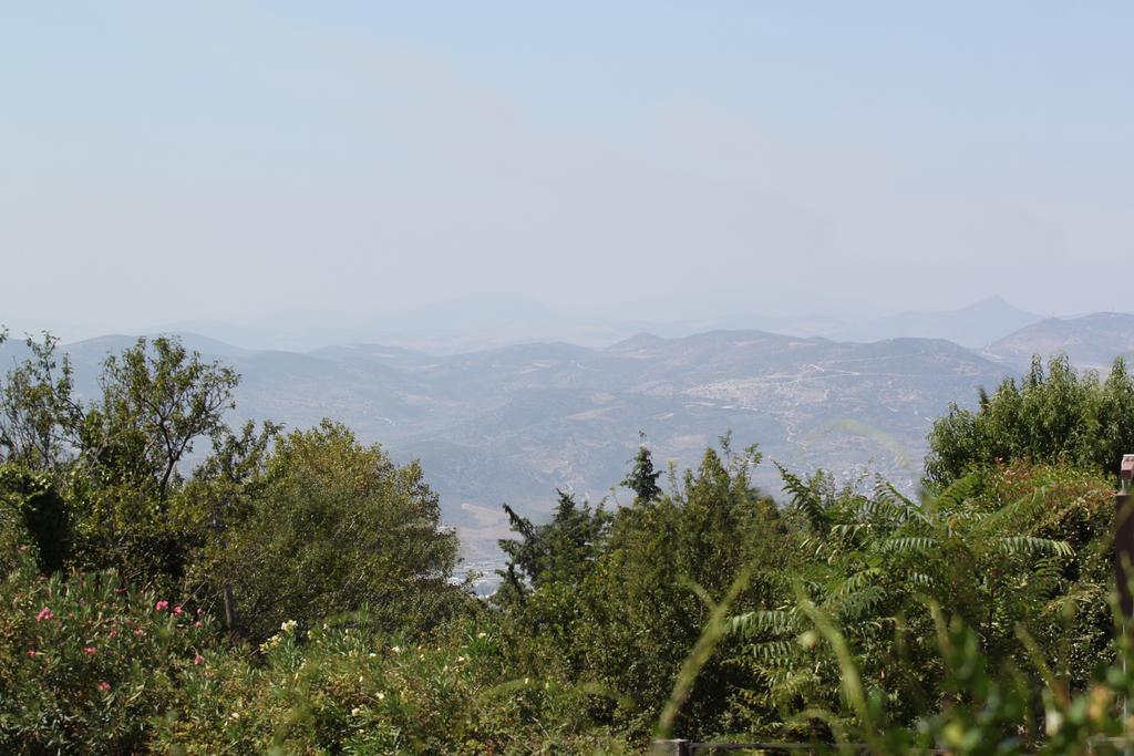 Ξενώνας Κολέντη Πορταριά Εξωτερικό φωτογραφία